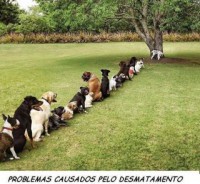 /album/mundo-real/a4bddd-429371-255952351147200-212985695443866-585279-1424866948-n-jpg/