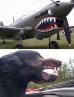 /album/mundo-real/a7d60dccd-7954-4e8b-8a19-3f67386a7c40-thumb-jpg/