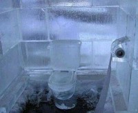 /album/mundo-real/a15-jpg/