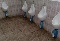 /album/mundo-real/a39-jpg/